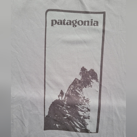 Patagonia | black mountain logo short sleeve grey tee shirt | MENS M - Picture 4 of 10